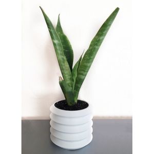 Zag Planter